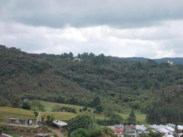 Hotel Chua Gin Cameron Highlands Buitenkant foto